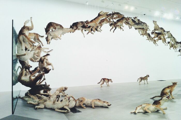 Инсталляция с волками на тему неумения вовремя останавливаться при достижении целей / Фото: and-other-things.com