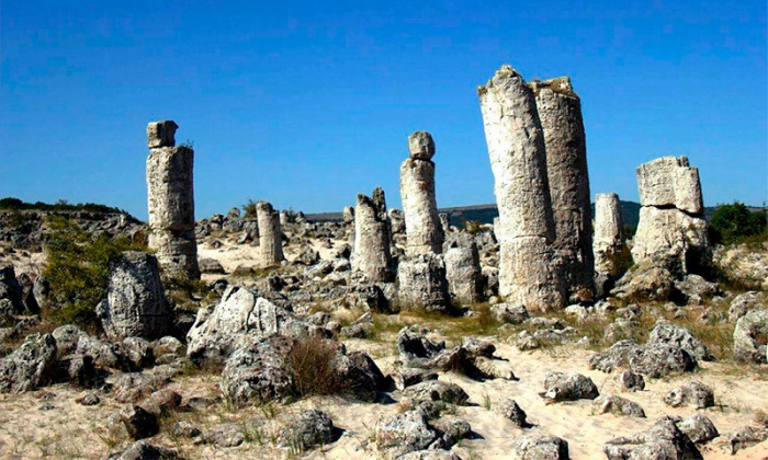 Каменный лес Варны состоит из стволов разного размера. / Фото: bulgarianavsegda.com