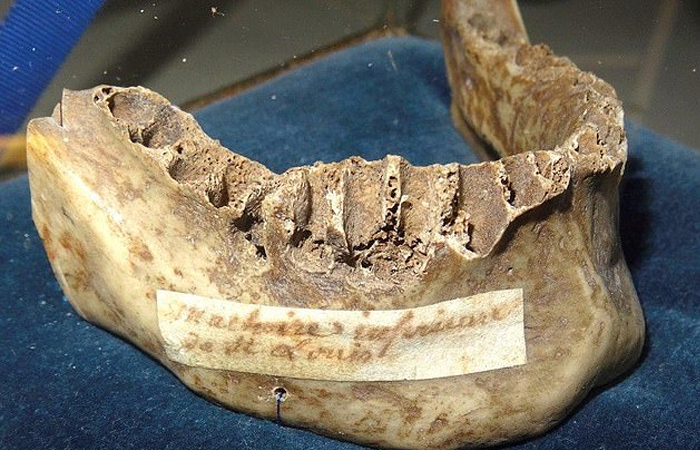 Фрагмент челюстной кости короля, хранящийся в соборе Парижской Богоматери / Фото: dailymail.co.uk