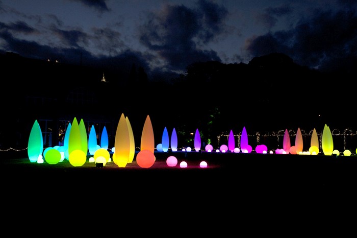 Инсталляция Lights, Holiday Nights в Ботаническом саде Атланты