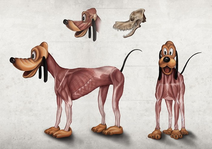 Inhuman Anatomy – анатомический атлас персонажей студии Disney