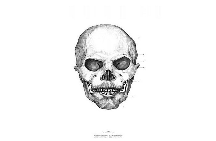 Владимир Ленин, The Anatomy of Skulls, Istvan Laszlo