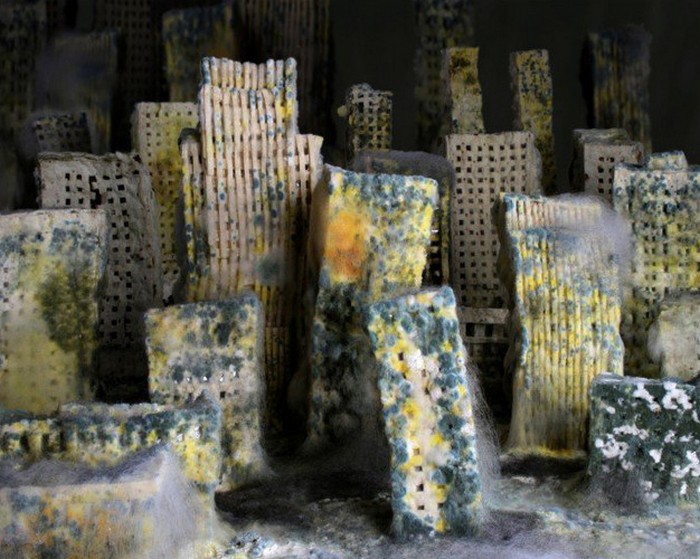 Расцвет и падение хлебного города от Йоханны Мартенссон (Johanna Martensson)