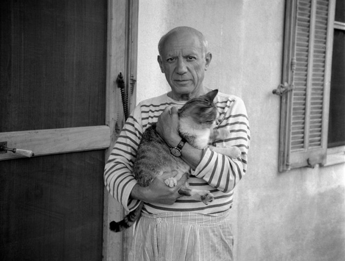 Пабло Пикассо и его кошка. Проект The Untamed Species