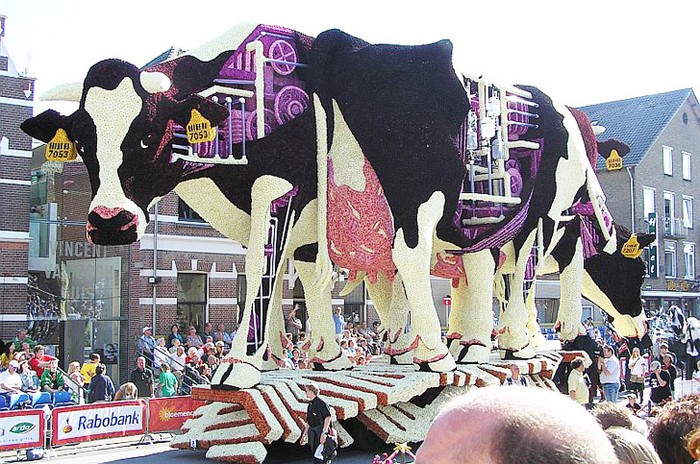 Bloemencorso — масштабный фестиваль георгинов в Нидерландах