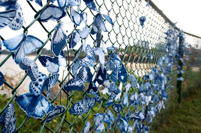 Синие бабочки на улицах американских городов. Творчество Таши Льюис (Tasha Lewis)