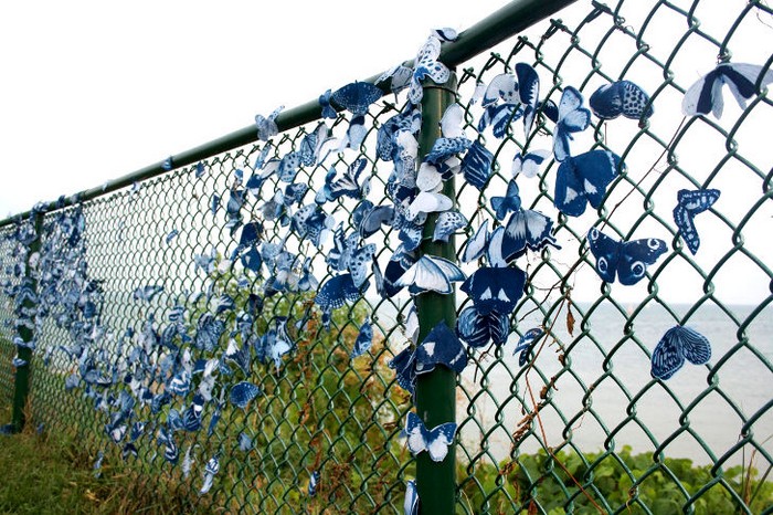 Синие бабочки на улицах американских городов. Творчество Таши Льюис (Tasha Lewis)