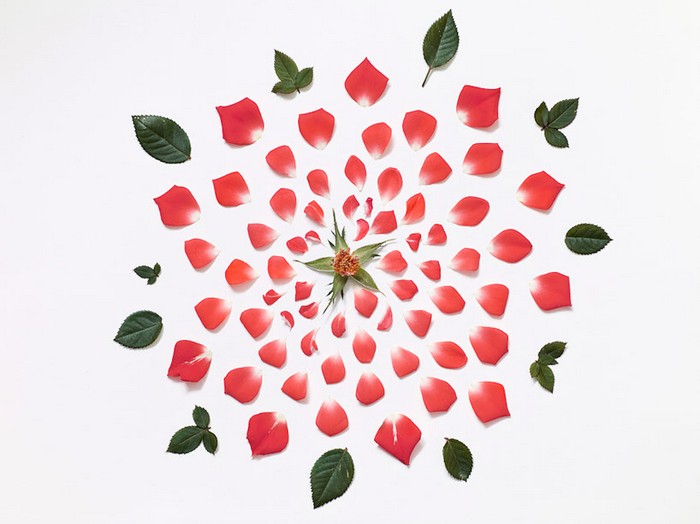Цветочное бомбометание в проекте Exploded Flowers от Фонг Ци Вея (Fong Qi Wei)