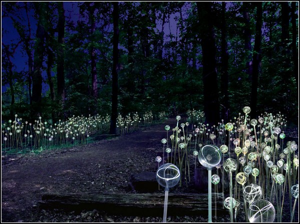 Светящийся лес в инсталляции Брюса Мунро (Bruce Munro)