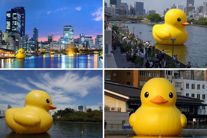 Giant Rubber Duck – подарок  жителям Сиднея от художника-гигантомана Флорентина Хофмана (Florentijn Hofman)