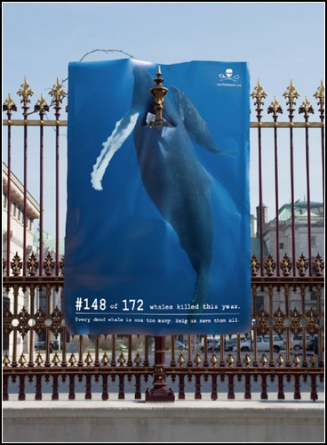 Сто семьдесят два мертвых кита на улице в Вене