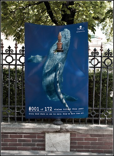 Сто семьдесят два мертвых кита на улице в Вене