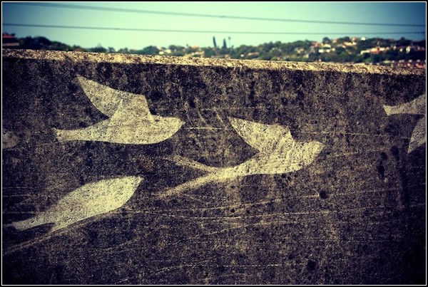 Flight 101: граффити наоборот в Южной Африке