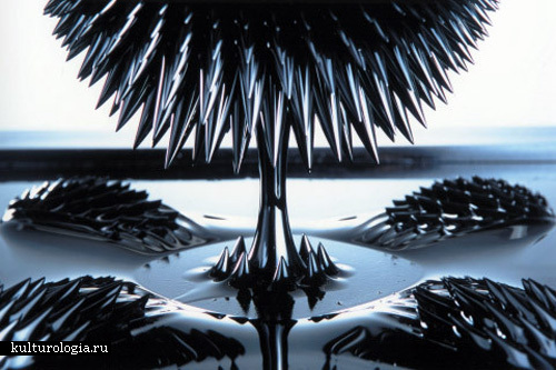 Магнитное поле как произведение искусства: инсталляции Sachiko Kodama