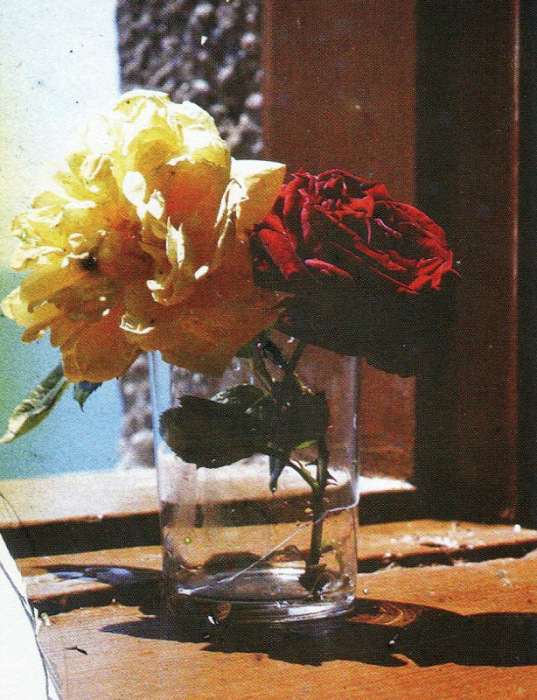 Розы в стакане.