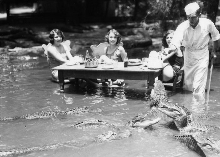 Реальная фотография молодых девушек, которые обедают в пруду в окружении десятков аллигаторов.