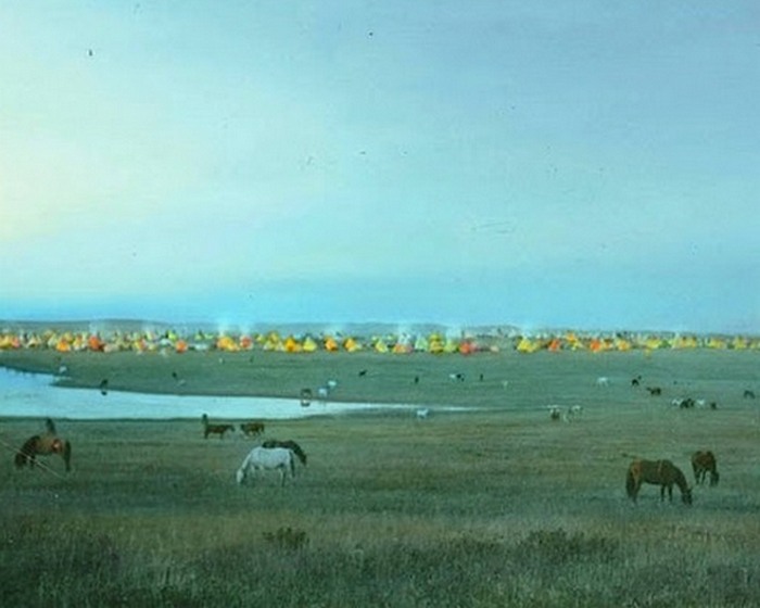 Пасущиеся лошади возле стойбища племени черноногих, Монтана, начало 1900-х.