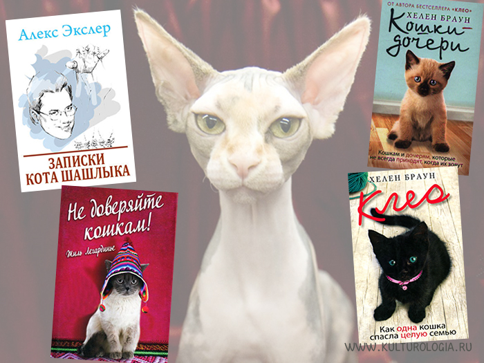 10 лучших книг, главными героями в которых являются кошки.