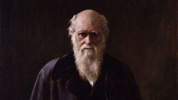 Автор теории эволюции Чарльз Дарвин.