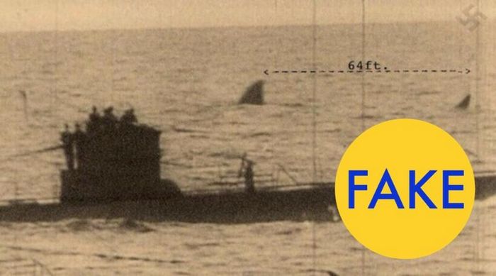 Акула мегалодон рядом с немецкой подводной лодкой в 1940.