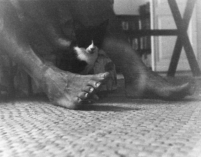 Котенок сидит между ног Эрнеста Хемингуэя на Финка Вихия.