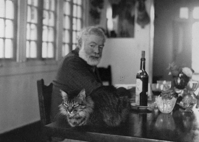 Эрнест Хемингуэй и его кот в усадьбе Финка Вихия на Кубе.