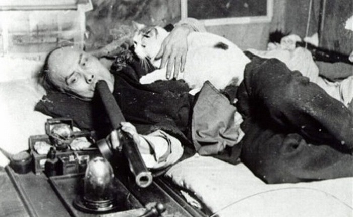 Фотография китайца, который курит опиум и гладит кошку, была очень популярной открыткой в Сан-Франциско.