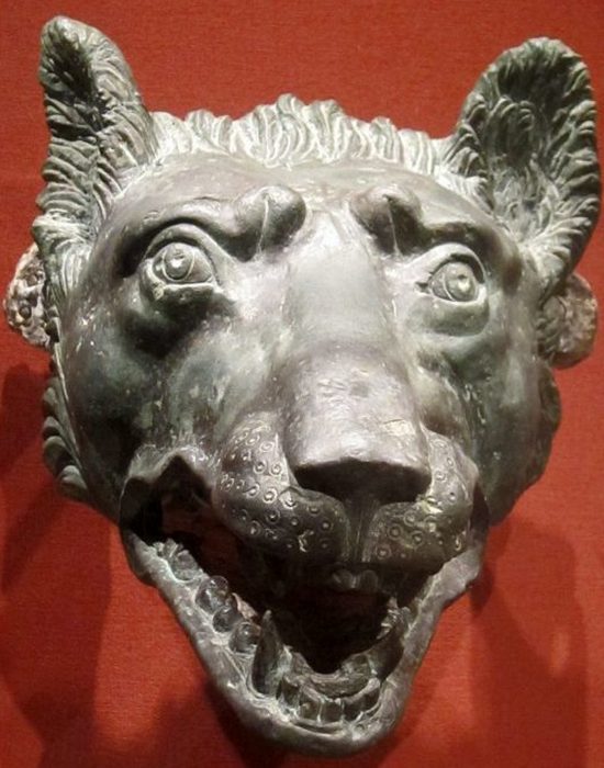 Бронзовая голова волка, Рим, 1 век н.э.