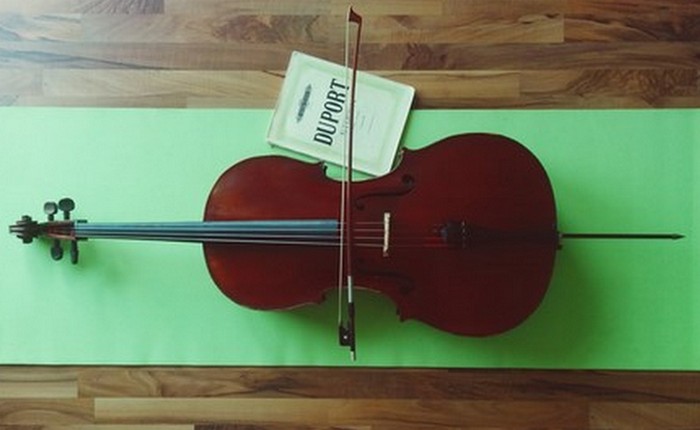 Уникальная виолончель Страдивари «Duport».
