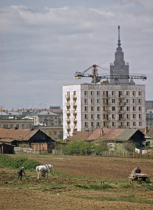 Землепашцы деревни Семёновское
