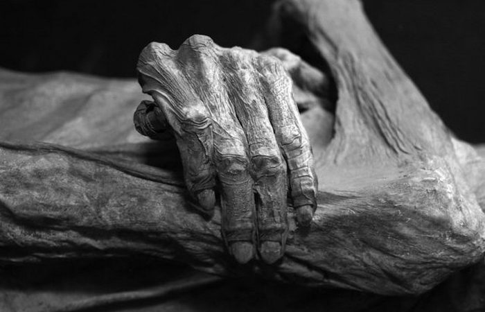 Рука мумии из Гуанахуато./фото: thevintagenews.com