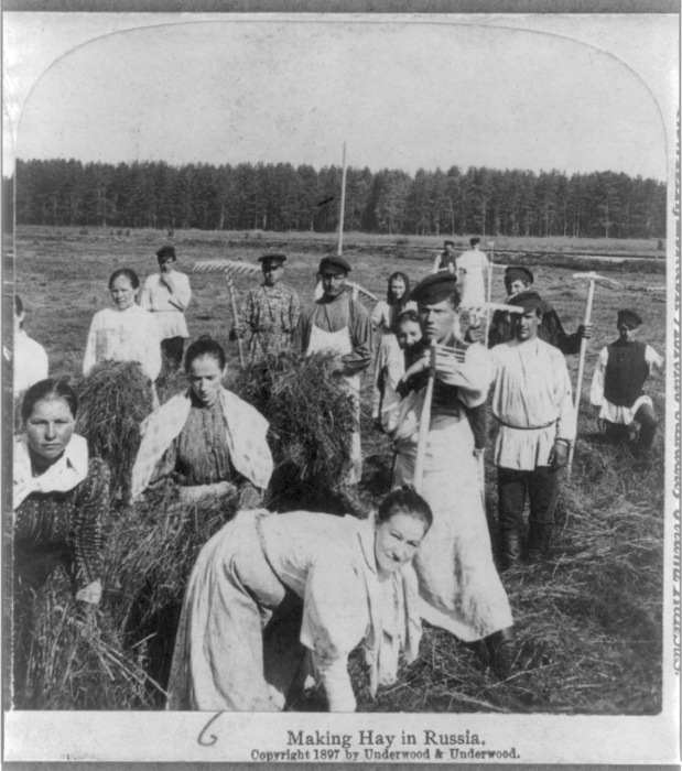 Заготовка сена в России.1897 г.