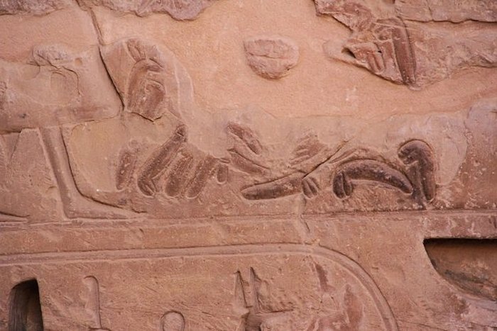 Изображение груды отрезанных пенисов в гробнице Рамзеса III.