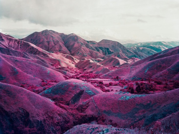 Сюрреалистические розовые пейзажи.