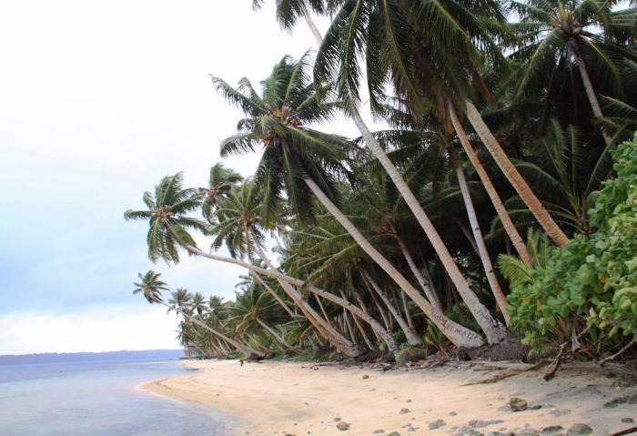 Острова Яп - острова в Тихом океане. Входят в состав штата Яп Федеративных Штатов Микронезии. 