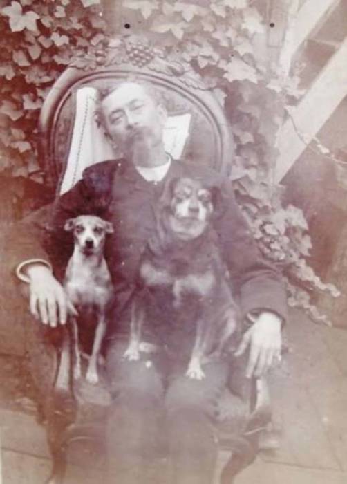 Умерший мужчина со своими любимыми псами.