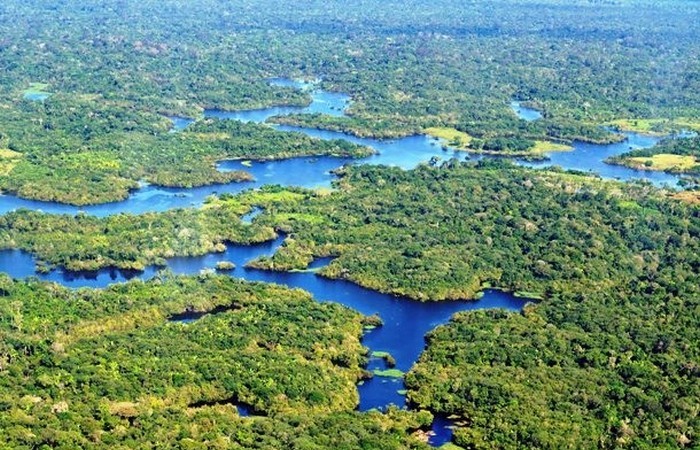 Манакапуру - удаленный муниципалитет, скрытый в тропических лесах Амазонки.