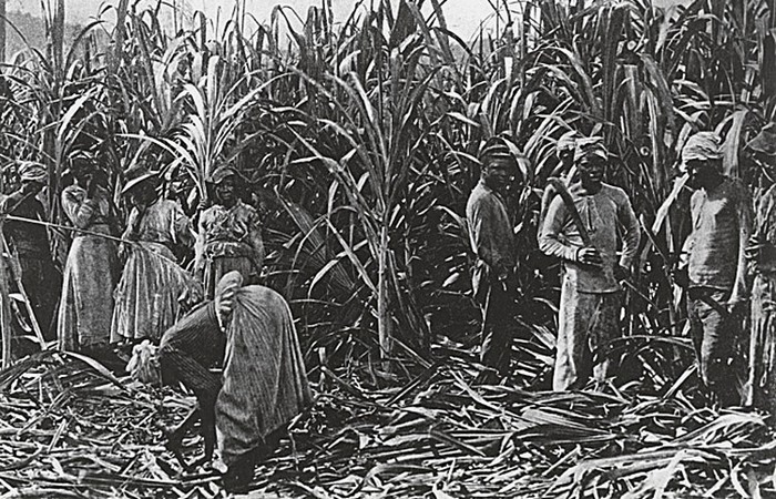 На обычной плантации американского юга в среднем работало менее 100 рабов.