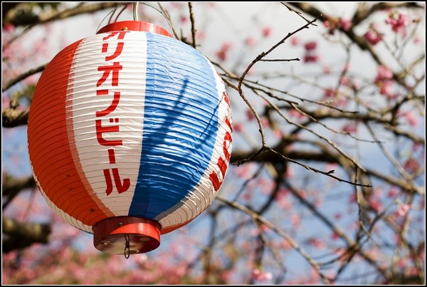 Фестиваль сакуры в цвету: фонарик