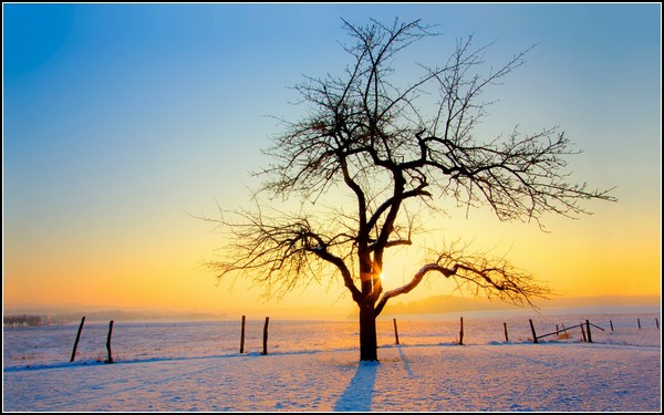 Зима и солнце: новая надежда