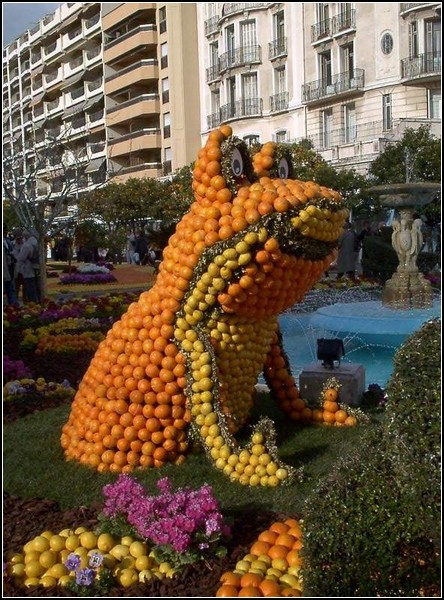День апельсина: цитрусовый фестиваль в Амстердаме