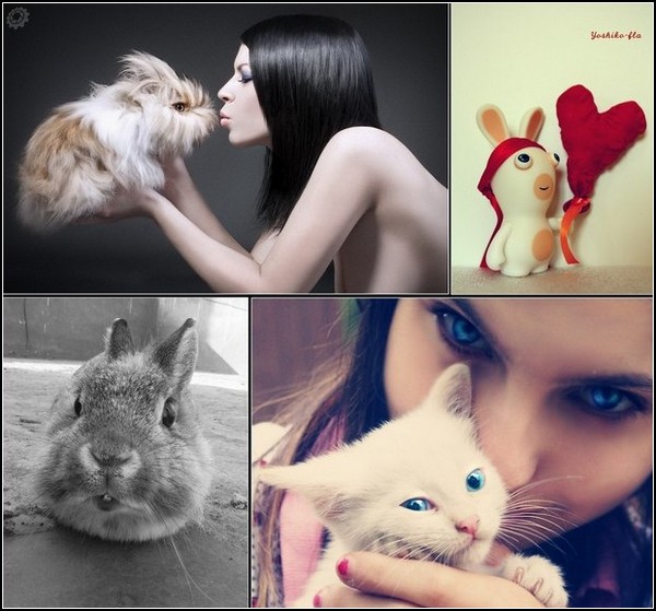 Любовь и кролики: подборка фото и картинок