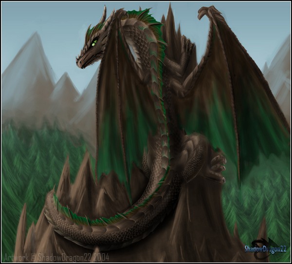 Мир драконов: стихия земли