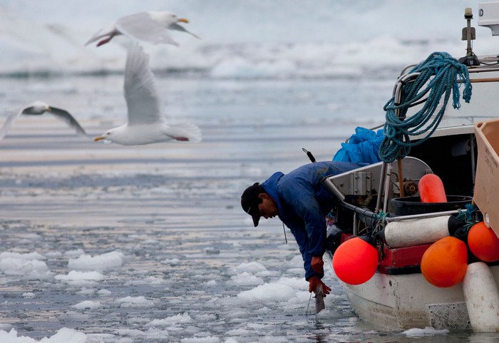 Рыбная ловля - самое популярное занятие в Гренландии