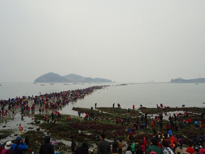 Ходить по воде - это по-корейски: чудо острова Чиньдо