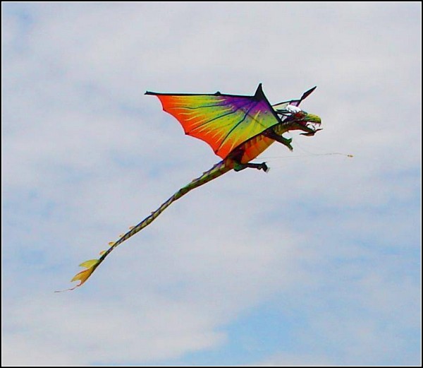 Змеиный полет: фестиваль воздушных змеев в столице США