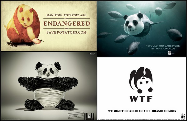Панда, затаившаяся в креативной рекламе