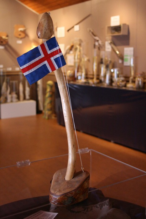 Исландский фаллологический музей: грандиозное собрание членов
