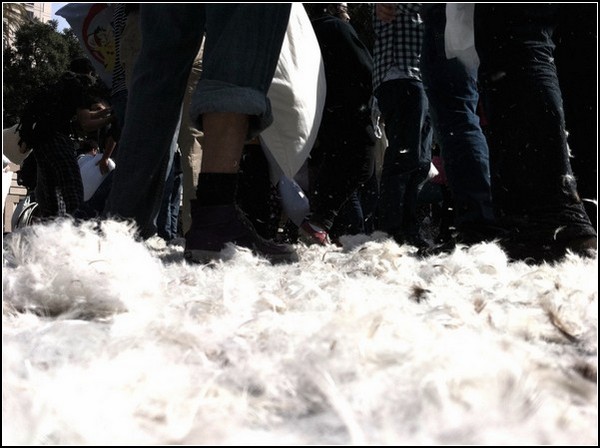 Бой подушками в Сан-Хосе: воскресный флешмоб