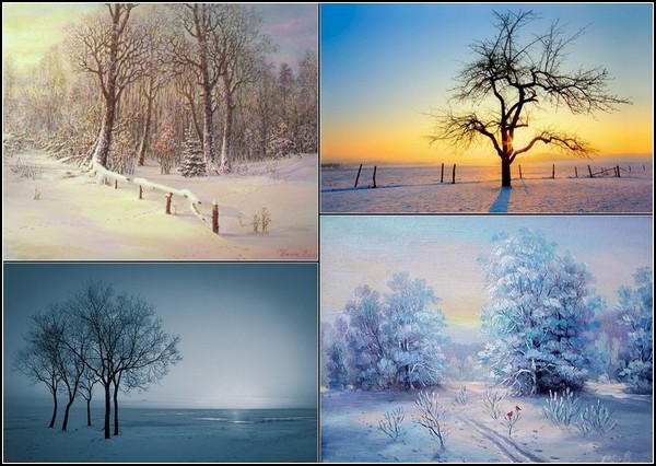 Зима и солнце: фотоподборка